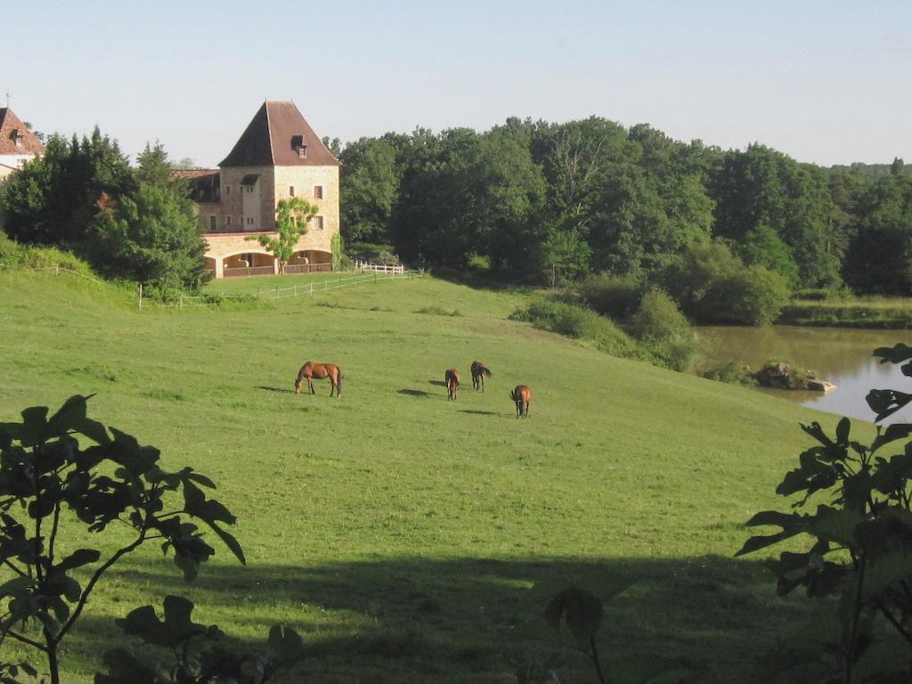 Hotel Manoir Du Grand Vignoble Saint-Julien-de-Crempse Exterior foto