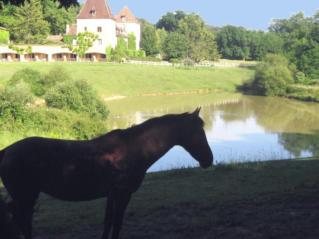 Hotel Manoir Du Grand Vignoble Saint-Julien-de-Crempse Exterior foto